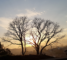 Foto de inverno em Caçador, bairro Berger em 27 de Julho às 7h55min.