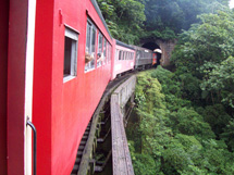 "Esta foto é na ferrovia que liga Morretes à Curitiba". Foto enviada por Sandra Regina.