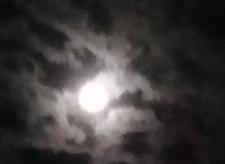 Noite de luar