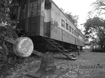 Foto Tiago Gonçalves.