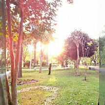 Pôr do sol registrado por Lucas Rodrigues no Parque Central