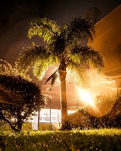 foto:  Jean Vitor Duarte Borges