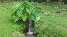 Paisagem mais que natural. Perfeição Divina!!!