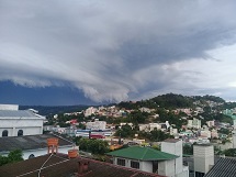 Videira durante a tarde desta quinta-feira, 20.