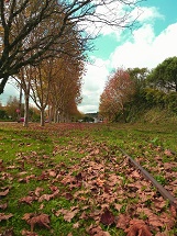 Outono em Caçador, Parque Central