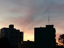 Foto do Dia