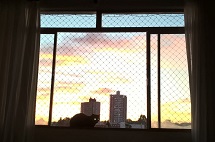 Gato na janela, na Vila Paraíso
