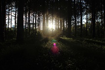 Paisagem natural, em Caçador
