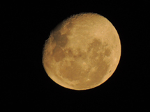 Foto Rodrigo M de Mello.