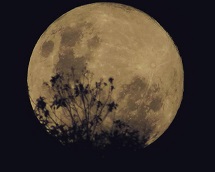 Lua cheia na noite de domingo, 29 de abril.