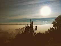 Amanhecer desta quarta-feira (20/06) em Caçador