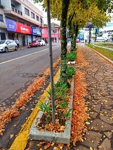 Rua Getúlio Vargas, em Caçador