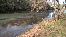 Situação do Rio do Peixe na Vila Paraíso, próximo à ponte Antônio Bortolon. "Que dó do nosso rio", comenta o autor do registro.