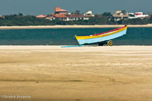 Foto:André Arcênio
