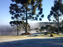 Foto da geada na Vinícola Villaggio Grando, na divisa dos municípios de Água Doce e Caçador. Enviadas por Luciane Pereira.
