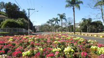 "Caçador é um jardim florido cheio de encantos.Foto: Edison Costa Porto