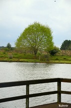 Natureza