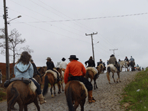 Tradicionalistas em cavalgada pelas ruas de Caçador, na Semana Farroupilha. Foto Liana Trevisa. 20/09/2008.