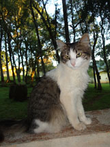 Foto Nayra Kaipers.