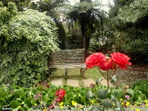 Ambiente harmonioso.