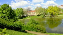 Harmonia na paisagem