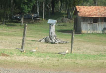 Foto Silvana Benetti.