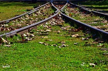 Outono e os trilhos do trem...