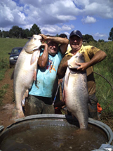 Foto enviada por Alessandra Granemann. Na imagem com os peixes Adriano Granemann e Moacir Granemann.