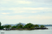 "Esta ilha faz parte da Baia da Babitonga". Foto Erci Bohrer.