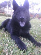Foto Gisele Frederick.