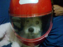 "Spaik". Foto enviada por Jaíne Correa.