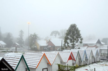 Neve em Canela - RS às 7:05horas de 27/08/13.Foto Erci Bohrer.