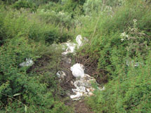 Flagrante de desrespeito contra o meio ambiente. Produtos foram jogados no meio de uma área de preservação ambiental, no Gumercindo. Vários pacotes ainda continham o preço, com o nome do supermercado de origem. Foto: Rafael Seidel. 21/03/2008