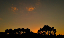 Foto: Henrique Luis.