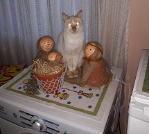 Foto do Dia