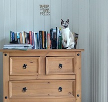 Meu nome é Eliane do Amaral e Silva e essa é minha gatinha Vic embelezando a cômoda da sala. Envio essa foto pra coluna "Foto do Dia" porque ela é muito fofa.