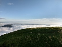 Morro agudo-Tangará