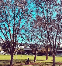 Dia de sol no Parque Central