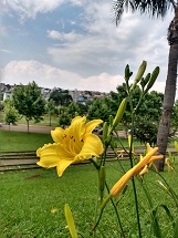Caçador na tarde dessa segunda feira! Foto sem efeito!
