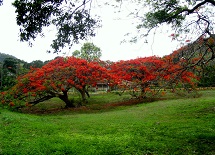 Foto do Dia