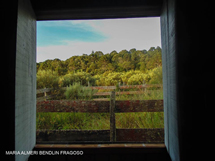 Foto: Maria Almeri Bendlin Fragoso.