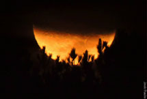 Foto Joi Bianchin.