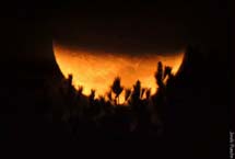 Foto Joi Bianchin.