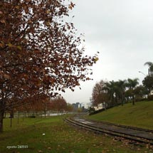O outono no Parque Central de Caçador é bonito até quando chove! Foto: Edison Costa Porto.