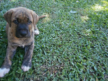 Foto Beto.