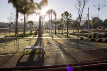 Geada: Parque Central, manhã de sábado 25 de julho: Foto Gibran Farfud.