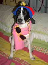Tina lançando moda inverno. Foto de Gisele Frederick.