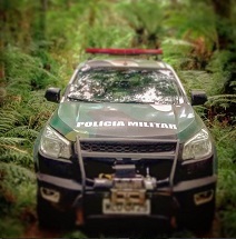 Viatura da Polícia Militar Ambiental de Caçador, no interior.