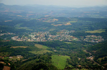 Tangará.Foto Luciana Strapazzon.