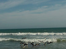 Foto enviada por Ruth Fendt Mariani.